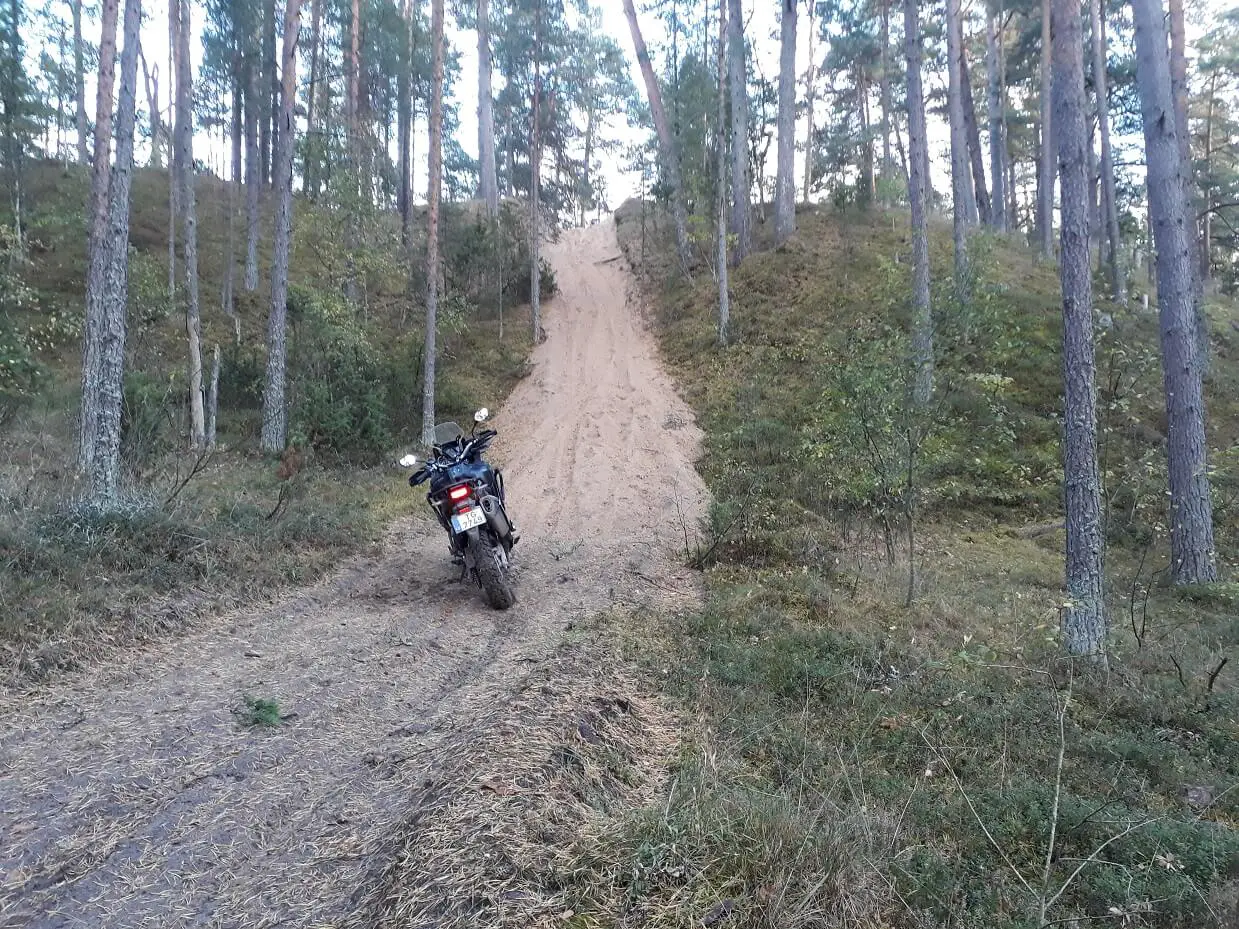 CRF1000 forest