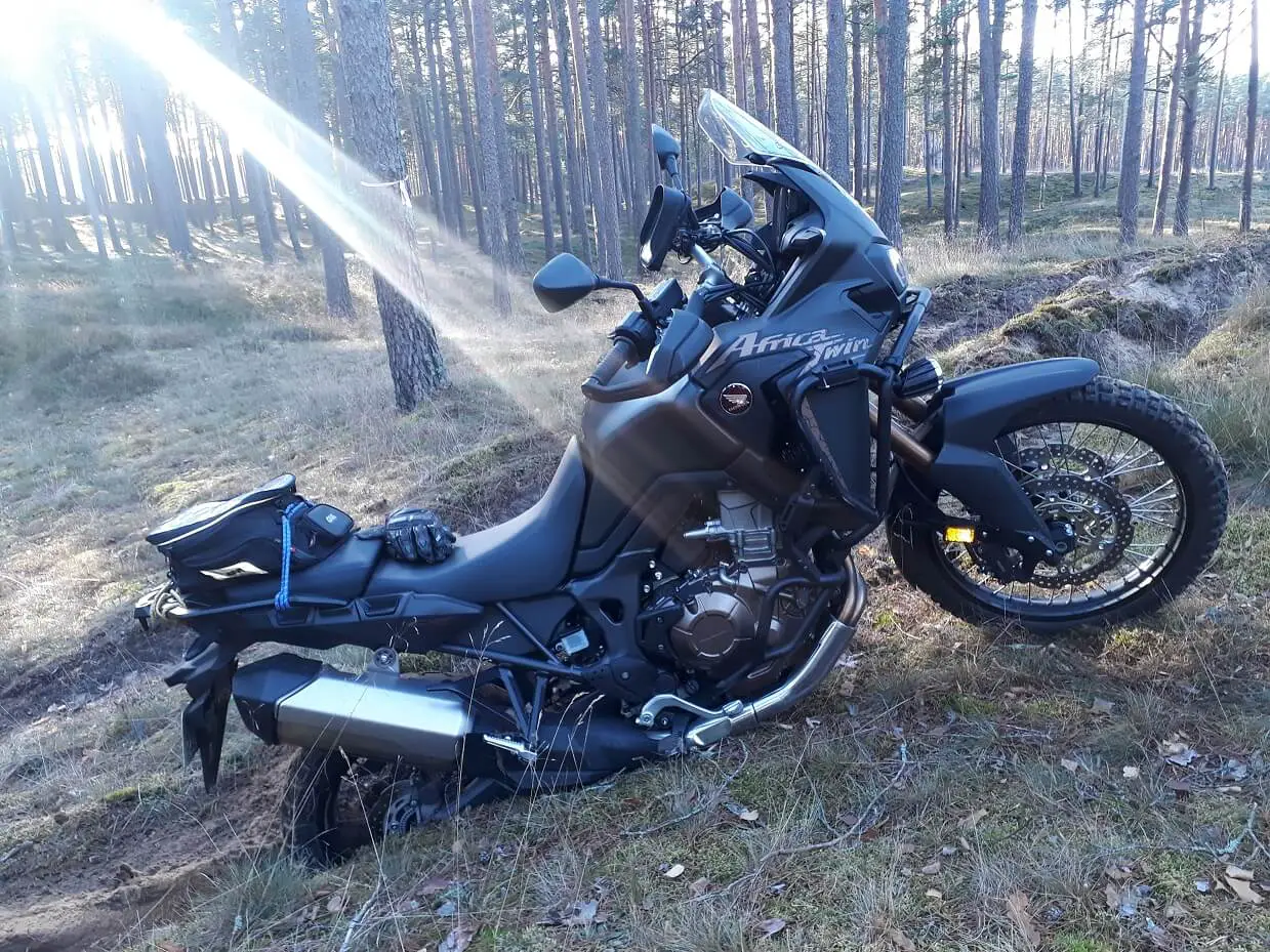 CRF1000 in forest
