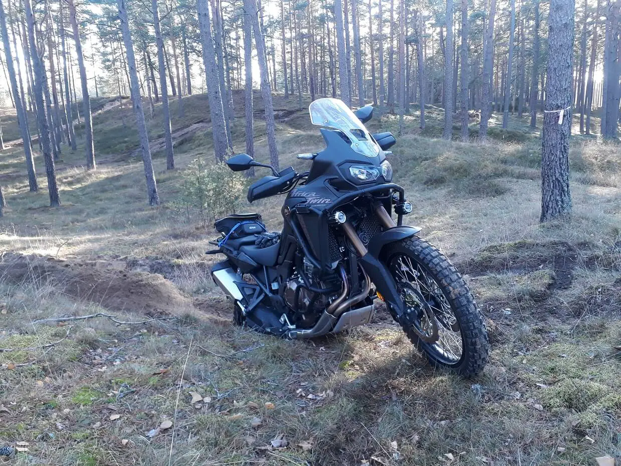 CRF1000 forest