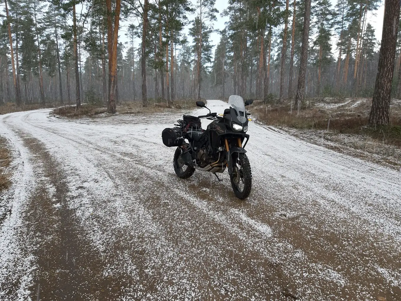 CRF1000 snow forest